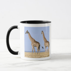 Mug Parc national d'Etosha, Namibie 3