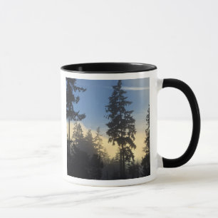 Mug Parc Stanley, bois, brouillard de couche marine qu