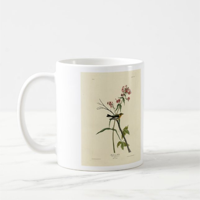 Mug Paruline noire - Audubon's Birds of America (Gauche)