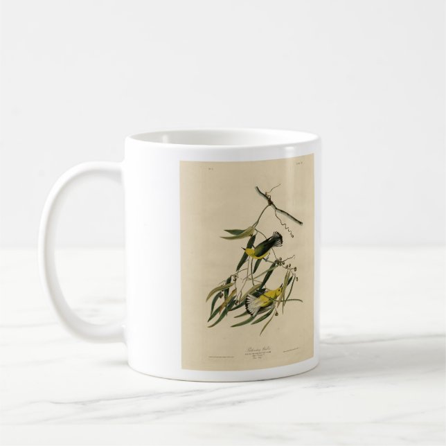 Mug Paruline protonotaire - Audubon's Birds of America (Gauche)