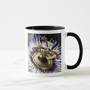 Mug Passiflore en gros plan (MR)