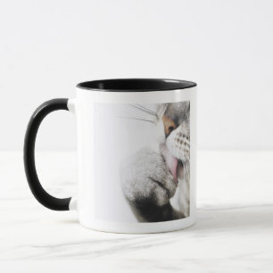Mug Patte de nettoyage de chat, plan rapproché
