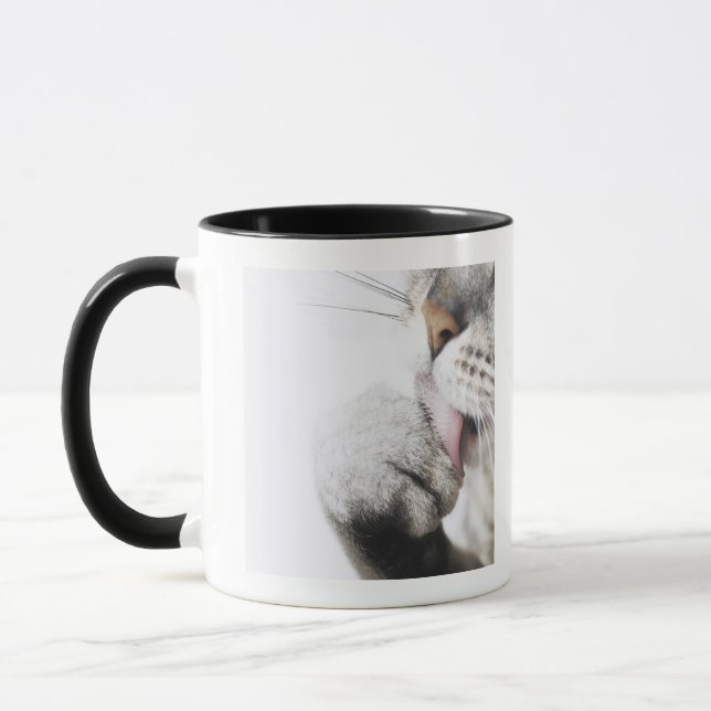 Mug Patte de nettoyage de chat, plan rapproché (Gauche)