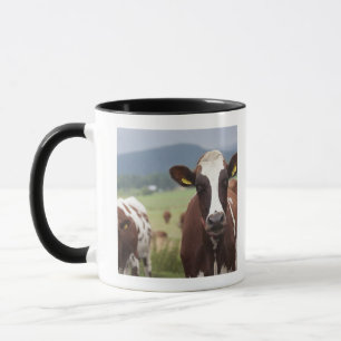 Mug Pâturage des vaches