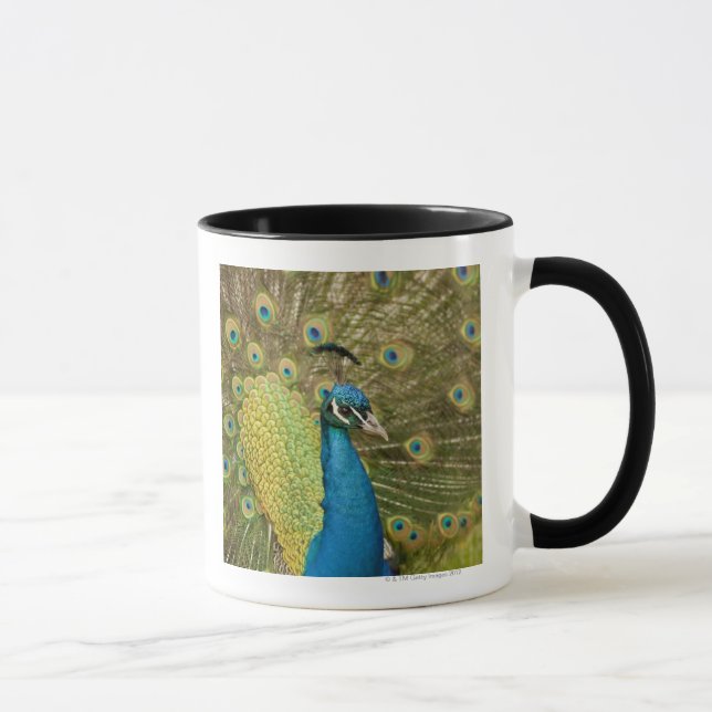 Mug Pavanement de paon (Droite)