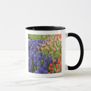 Mug Pays-Bas aka Hollande), Lisse. Keukenhof 2