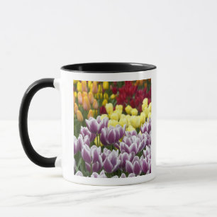 Mug Pays-Bas aka Hollande), Lisse. Keukenhof 3