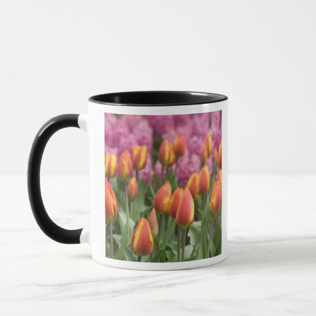 Mug Pays-Bas (alias Holland), Lisse. Keukenhof (Gauche)