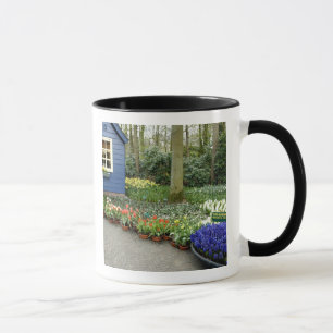 Mug Pays-Bas alias Hollande), Lisse. Keukenhof 11