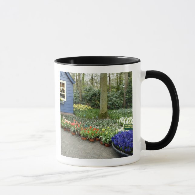 Mug Pays-Bas alias Hollande), Lisse. Keukenhof 11 (Droite)