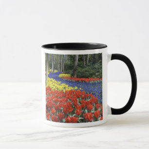 Mug Pays-Bas, Hollande, Lisse, Jardins de Keukenhof