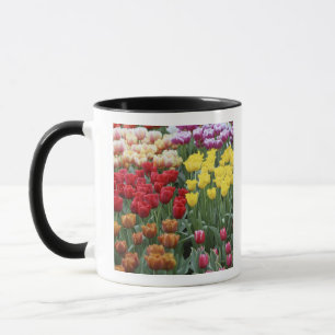 Mug Pays-Bas, Jardins de Keukenhoff, tulipes.