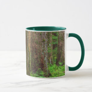 Mug Paysage de forêt ancienne