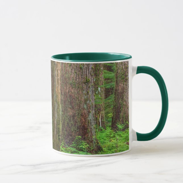 Mug Paysage de forêt ancienne (Droite)