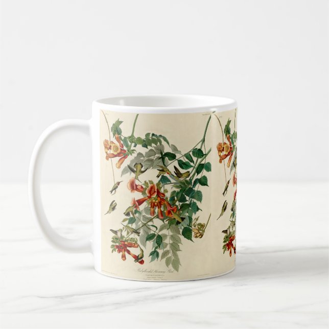 Mug Peinture d'Audubon sur le colibri à gorge rubis (Gauche)