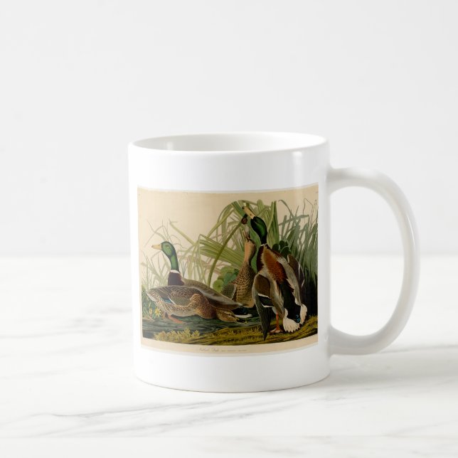Mug Peinture d'oiseaux de Mallard Duck Audubon (Droite)