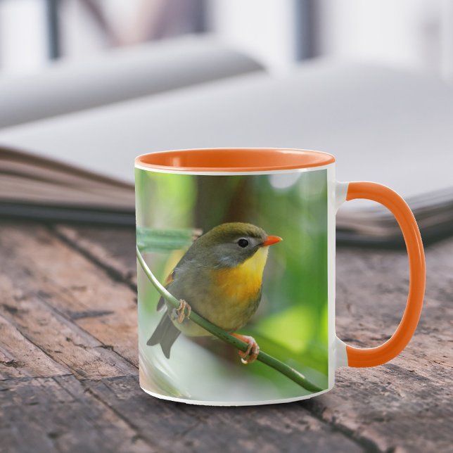 Mug Pekin de couleur Robin Songbird sur Branche (Colorful Pekin Robin 11 oz Coffee Mug Cover Photo.)