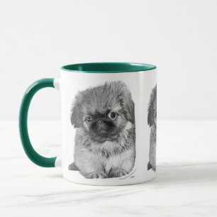 Mug Pekingese Puppy