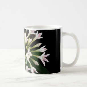 Mug Pentas blancs