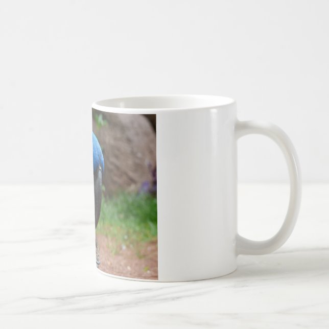 Mug perroquet de blauaras (Droite)