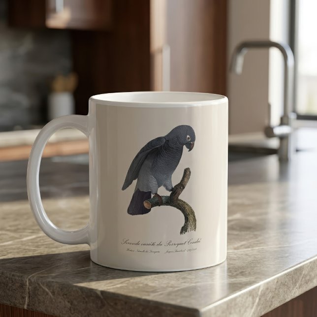 Mug Perroquet gris Timneh, Psittacus Timneh (Timneh African Grey Parrot, Psittacus Timneh. Coffee Mug)