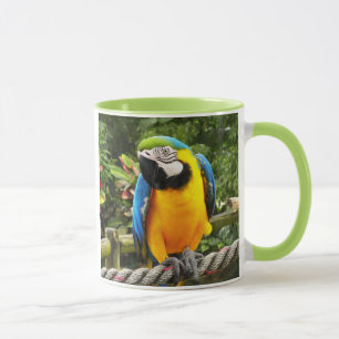 Mug Perroquet macaw exotique