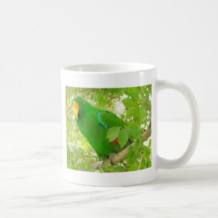 Mug Perroquet masculin d'Eclectus