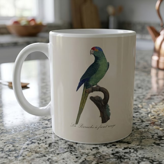 Mug Perruche à front orange, Eupsittula Canicularis (Orange-Fronted Parakeet, Eupsittula Canicularis. Coffee Mug)