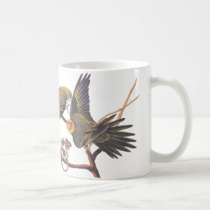 Mug Perruche de Caroline Audubon