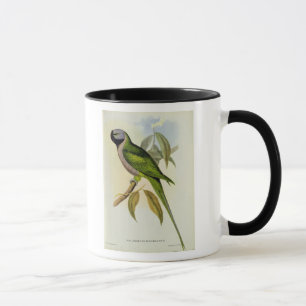 Mug Perruche : Palaeornis Derbianus, c.1850
