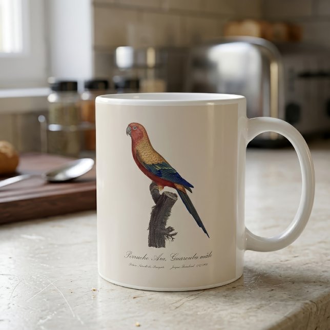 Mug Perruche soleil mâle, Aratinga solstitialis (Sun Parakeet Male, Aratinga Solstitialis. Coffee Mug)