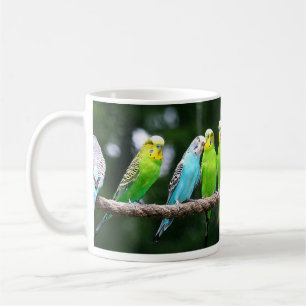 Mug Perruches colorées