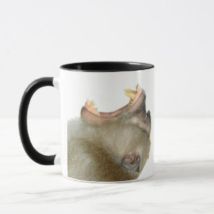 Mug Personnalisé - Apporte-moi à boire ! Singe
