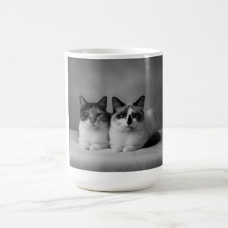Mug Personnalisé pour Animaux de Compagnie – Photo