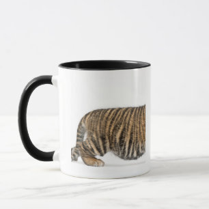 Mug Petit animal de tigre de Sumatran - sumatrae du