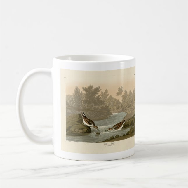 Mug Petit bécasseau des oiseaux d'Amérique d'Audubon (Gauche)