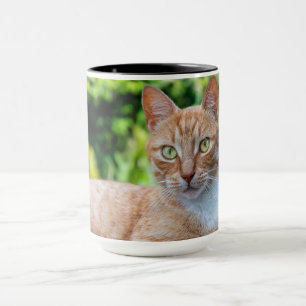 Mug Petit chou doux