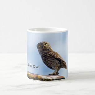 Mug Petit hibou