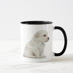 Mug Petit lion de chien ou petit chiot de chien de