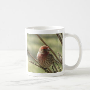 Mug Petit oiseau sur toile