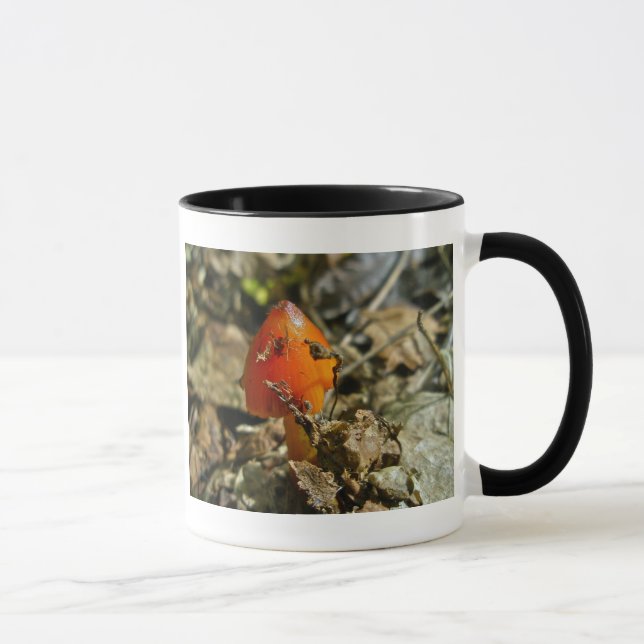 Mug Petite Amberina Cone Casquette Musique (Droite)