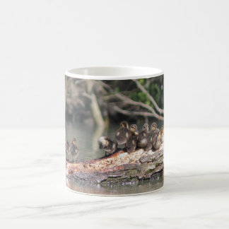 Mug Petits canards
