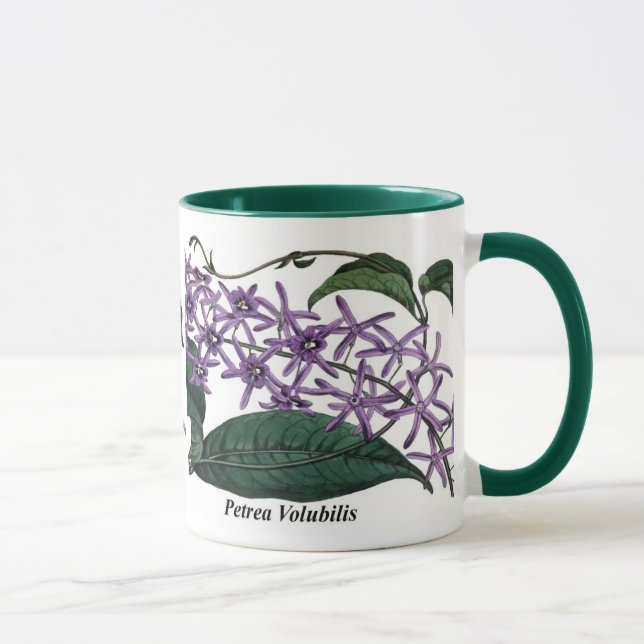 Mug Petrea Volubilis (Droite)