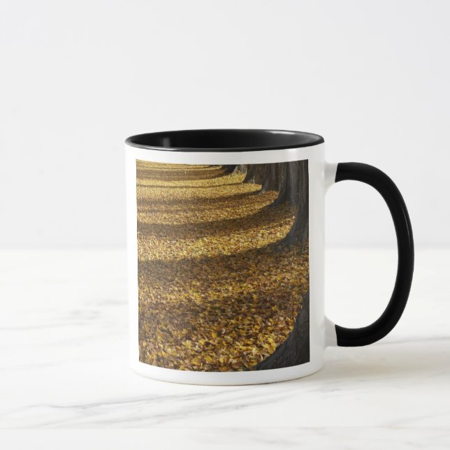 Mug Peupliers en automne, lac Wanaka, Otago, (Droite)