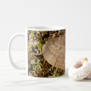 Mug Phellinus igniarius Musique
