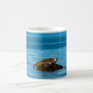 Mug Phoque commun