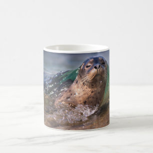 Mug Phoque du port pour bébés