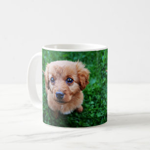 Mug Photo adorable de chiot