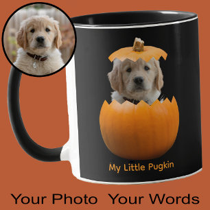 Mug Photo de chien drôle et mignon de citrouille d'Hal