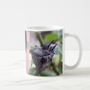 Mug Photo de Cite Hummingbirds
